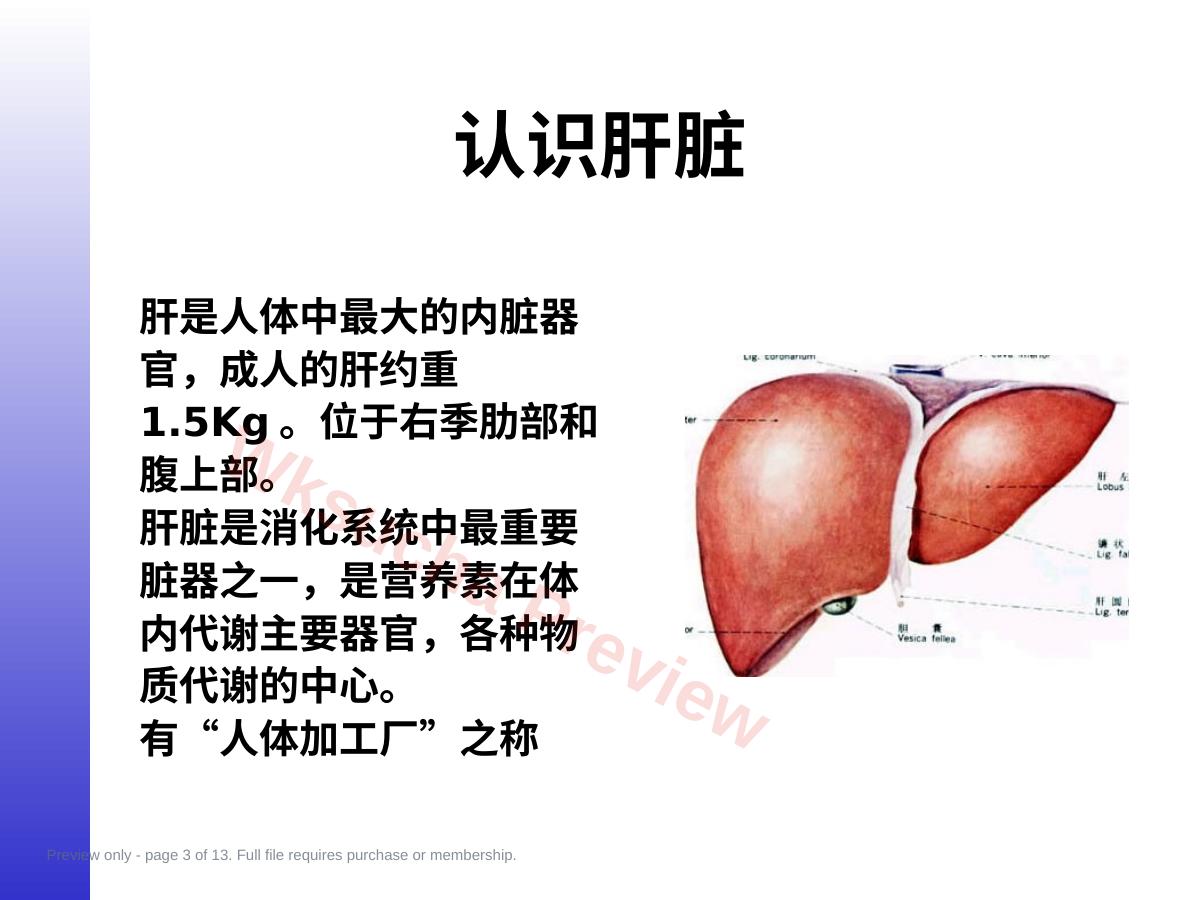 预览第 3 页