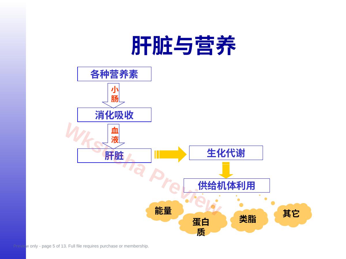 预览第 5 页