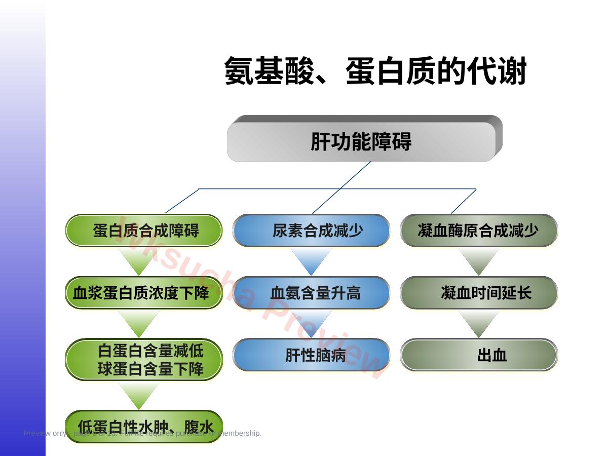 预览第 8 页