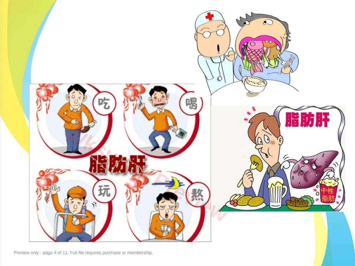 预览第 4 页