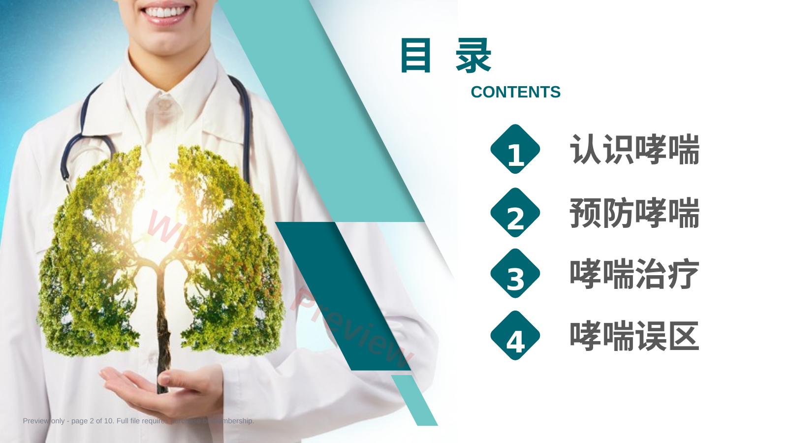 预览第 2 页