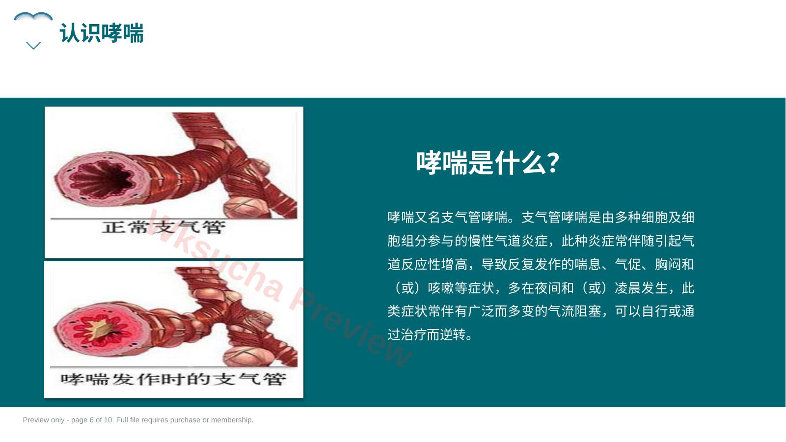 预览第 6 页