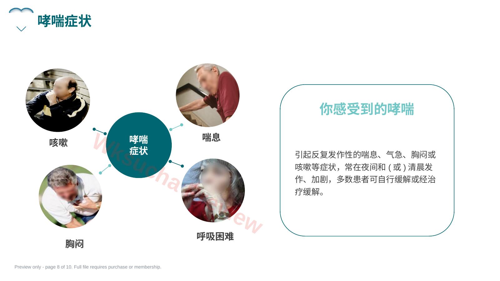 预览第 8 页