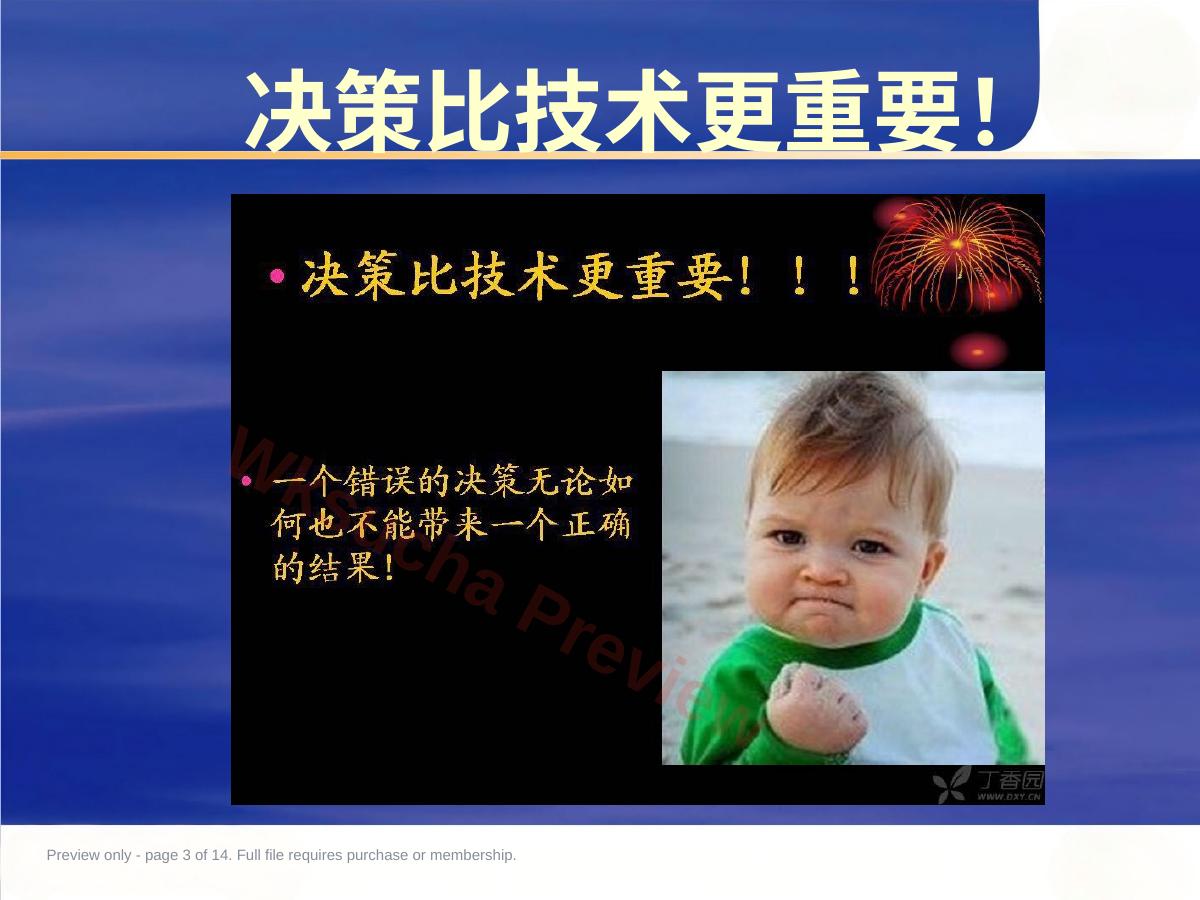预览第 3 页