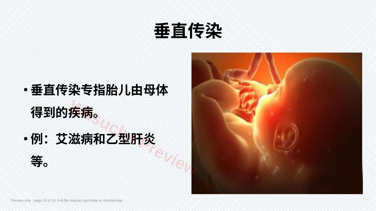 预览第 10 页