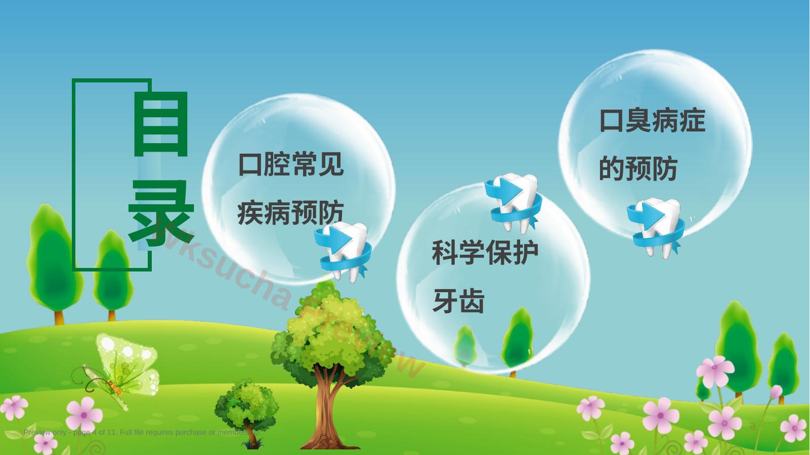 预览第 4 页