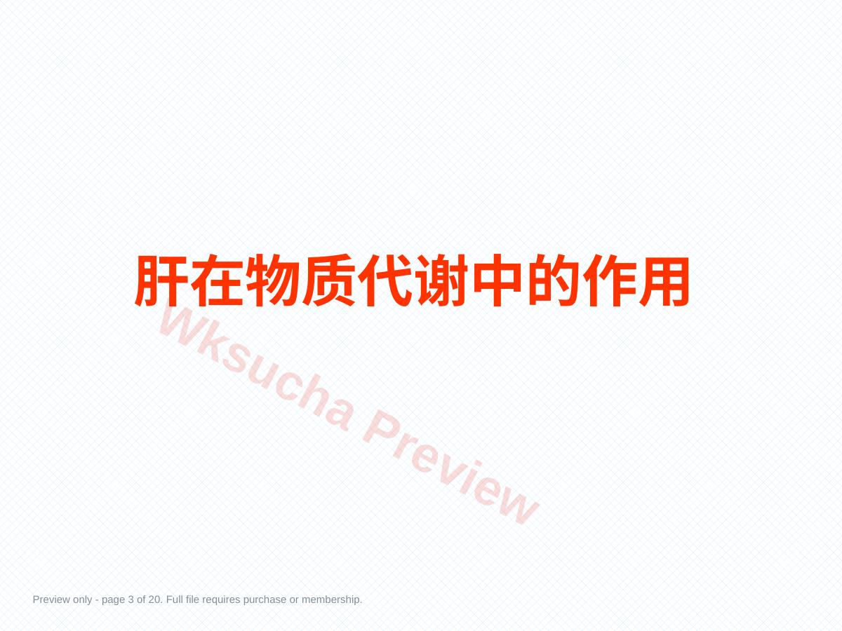 预览第 3 页