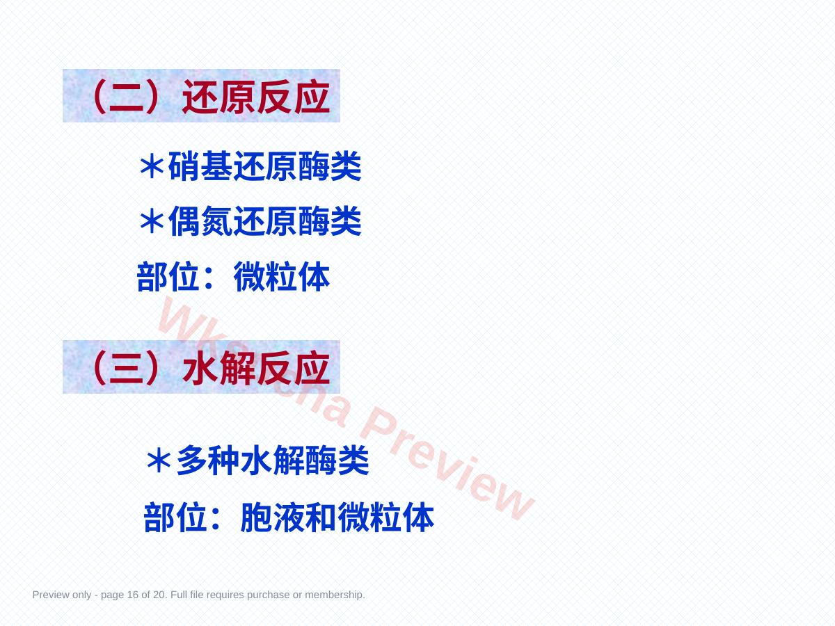 预览第 16 页