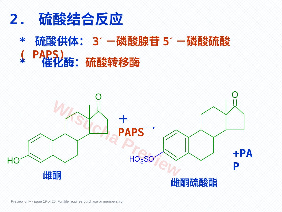 预览第 19 页