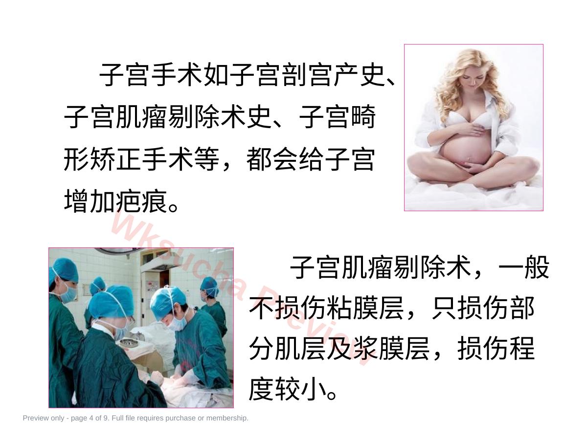 预览第 4 页