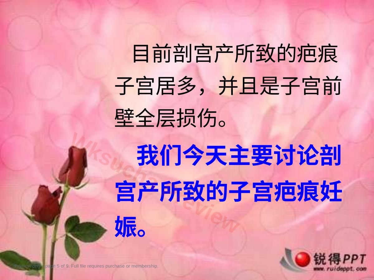 预览第 5 页