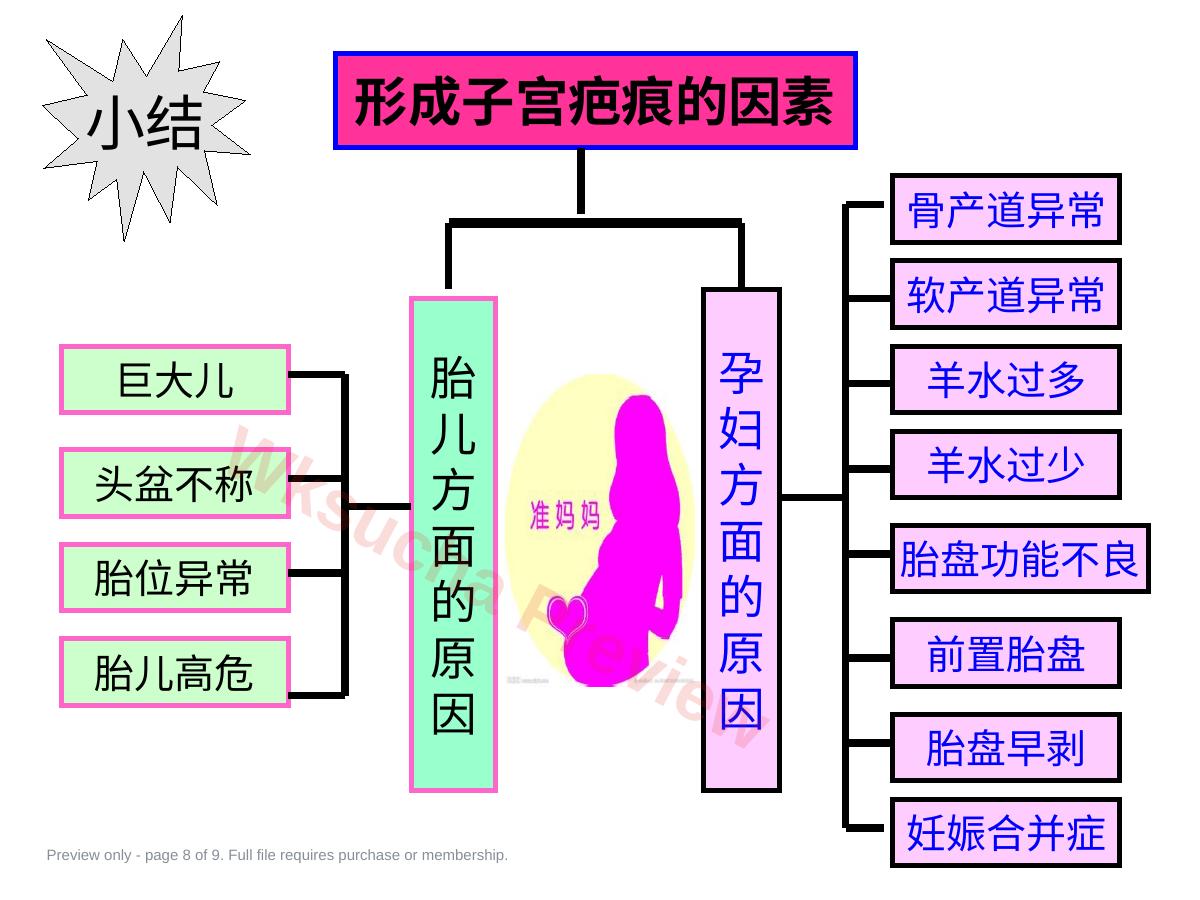 预览第 8 页