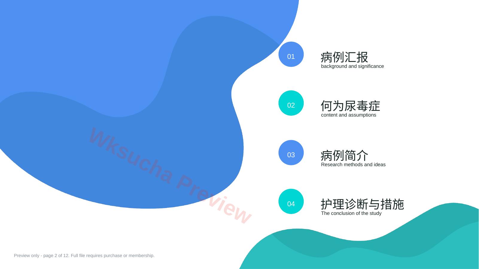 预览第 2 页