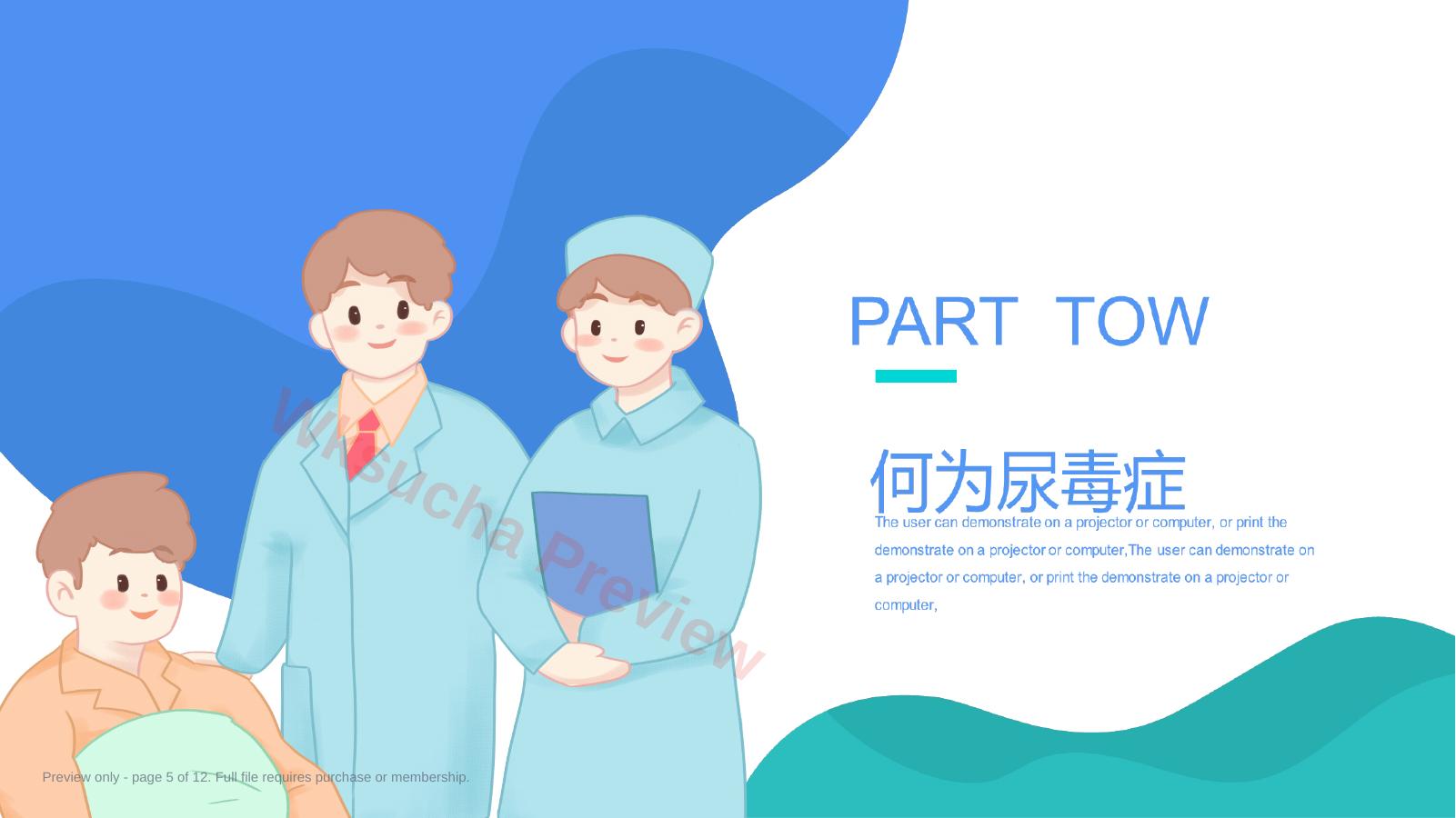 预览第 5 页