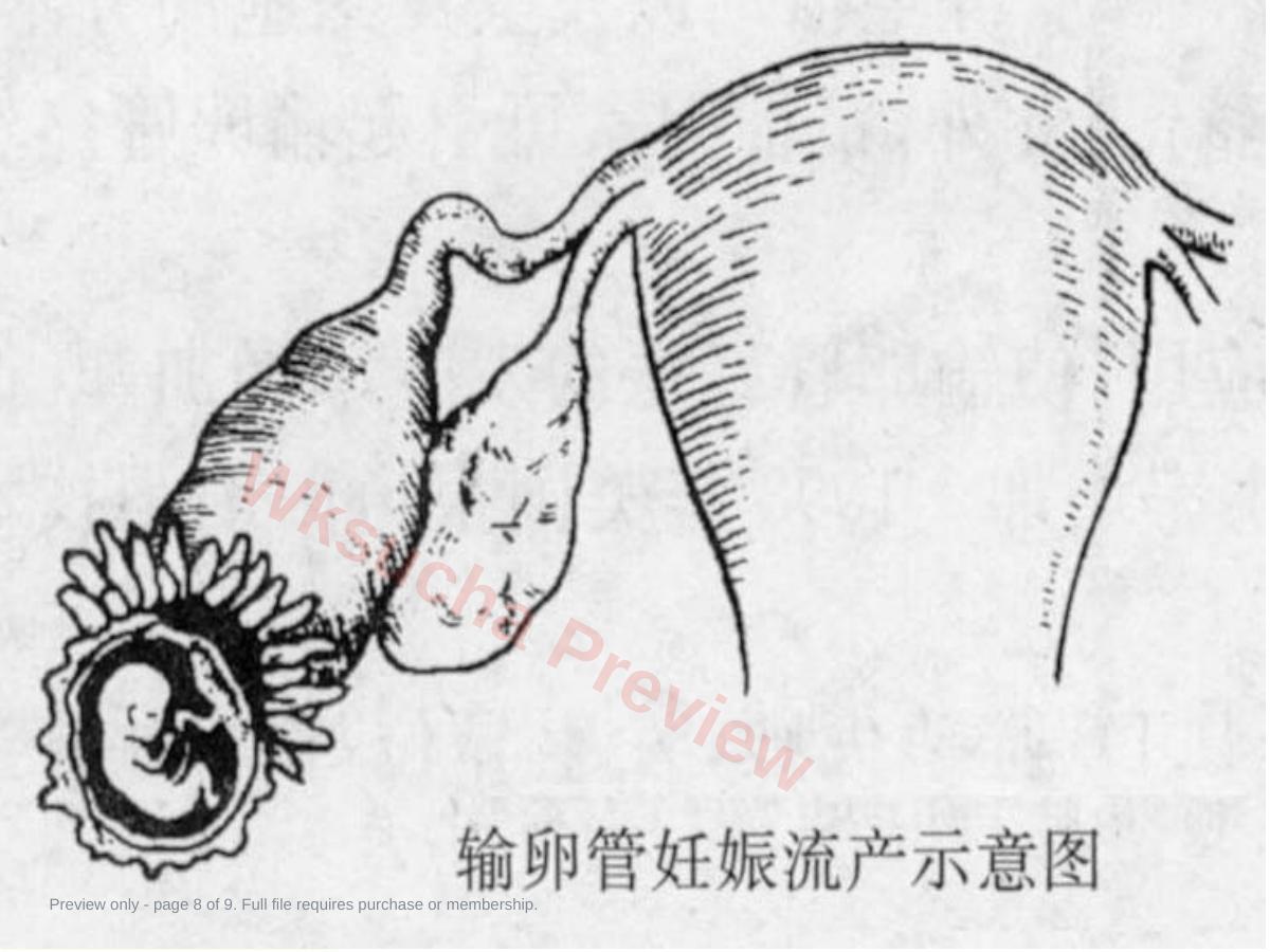 预览第 8 页