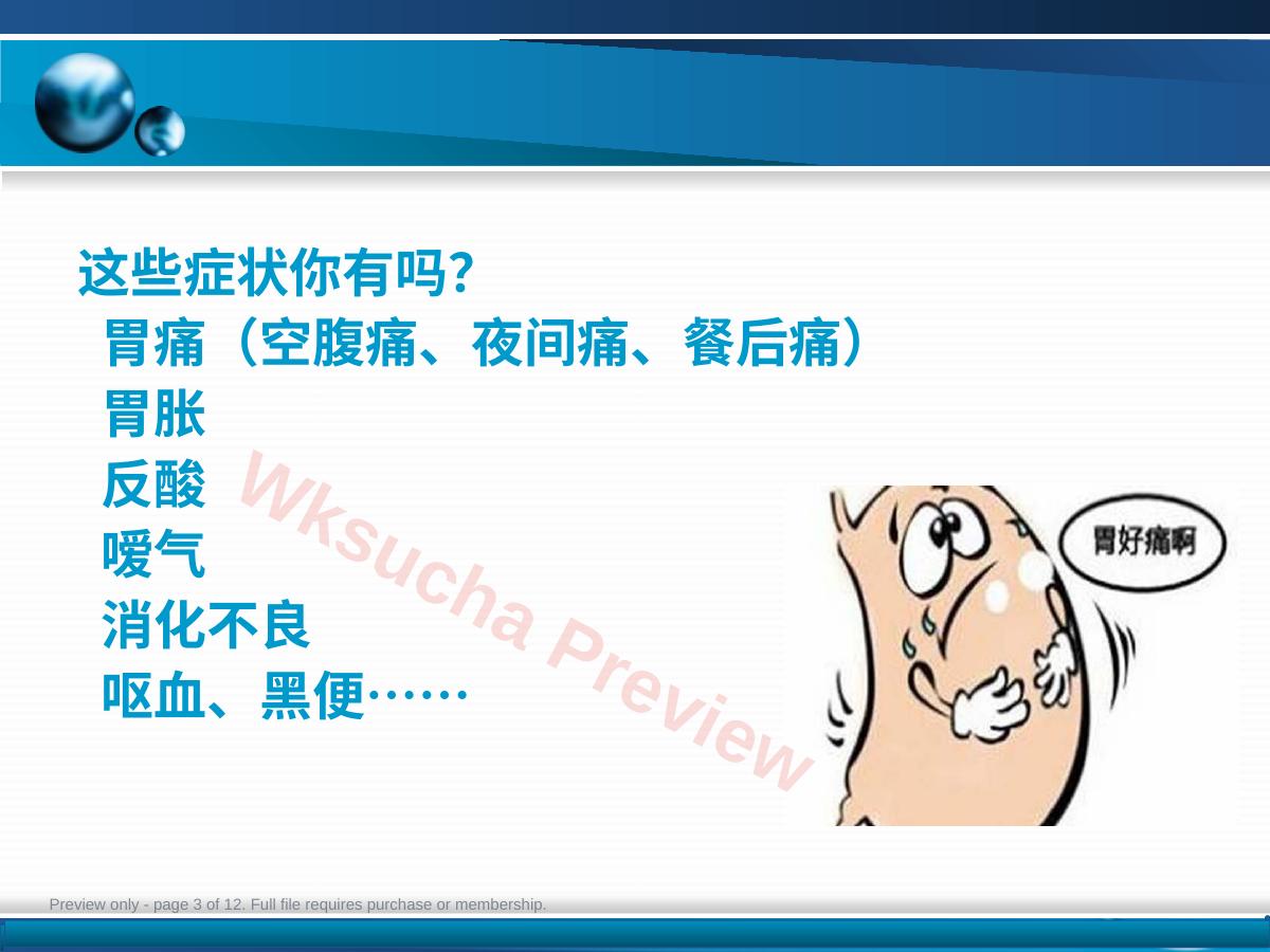 预览第 3 页