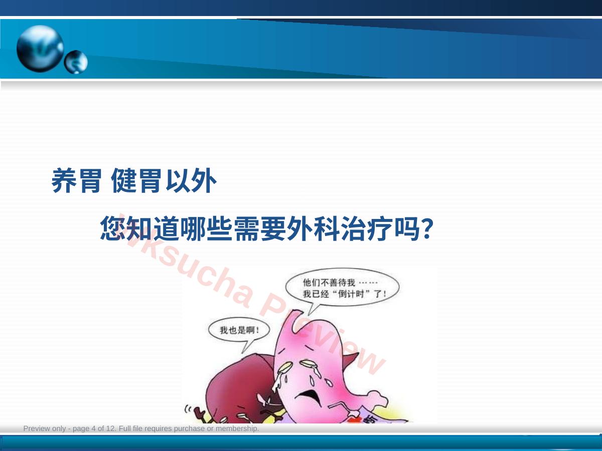 预览第 4 页