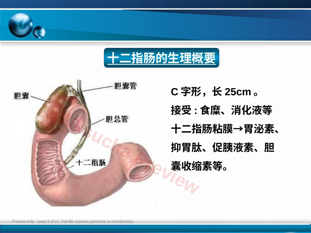 预览第 8 页