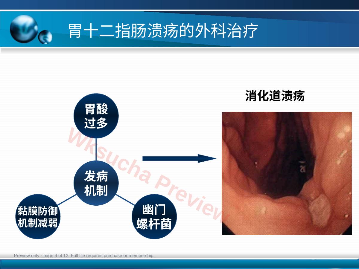 预览第 9 页