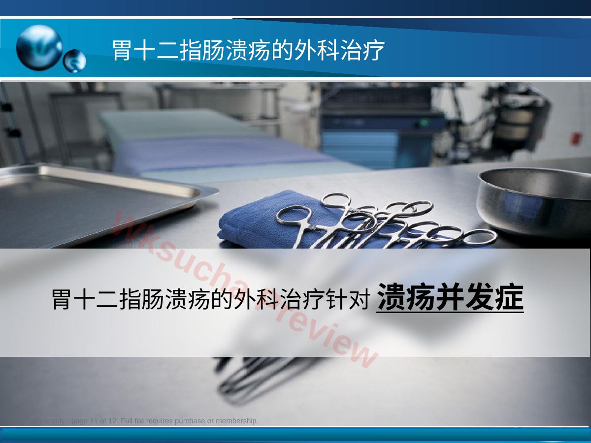 预览第 11 页