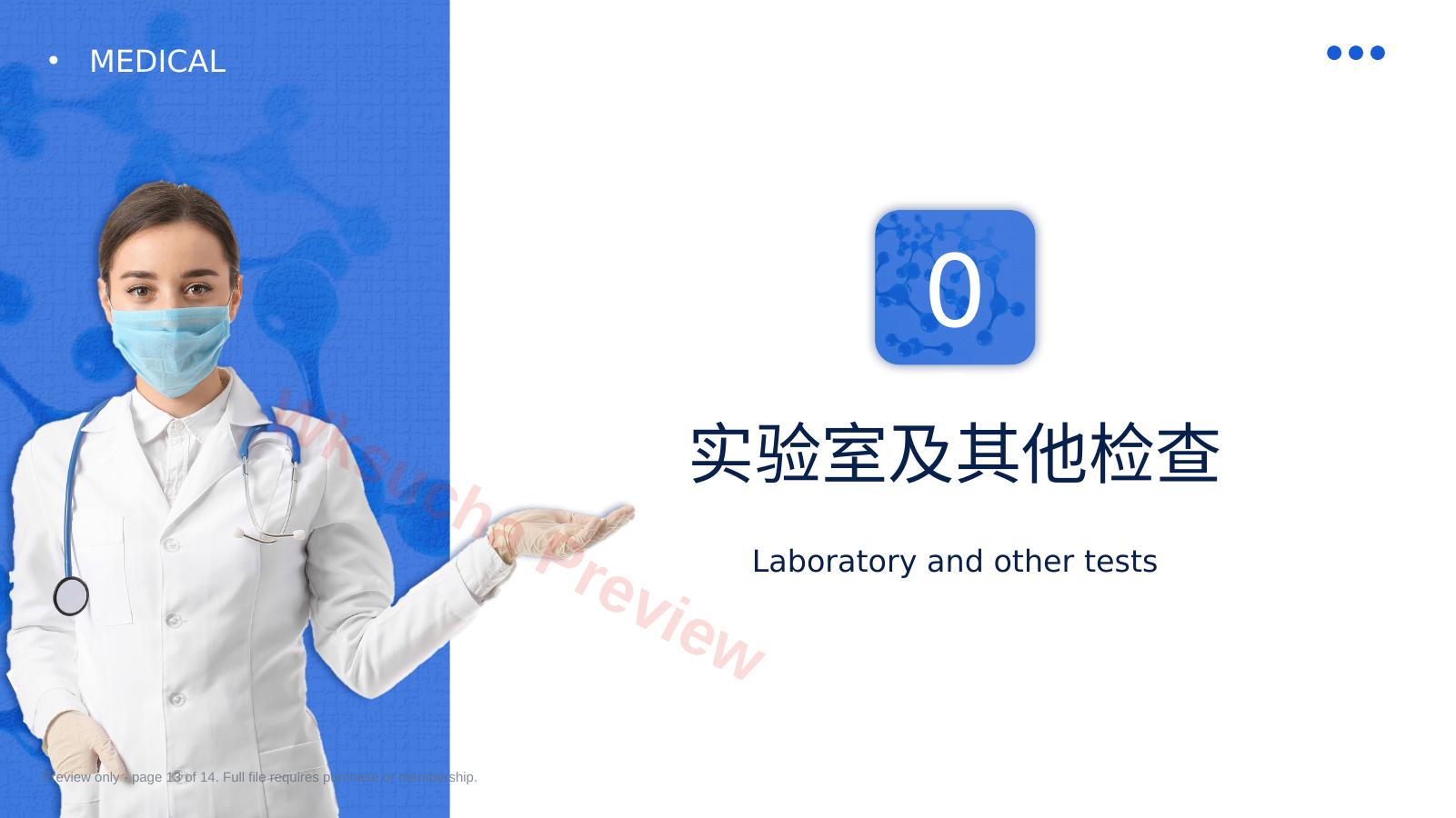 预览第 13 页