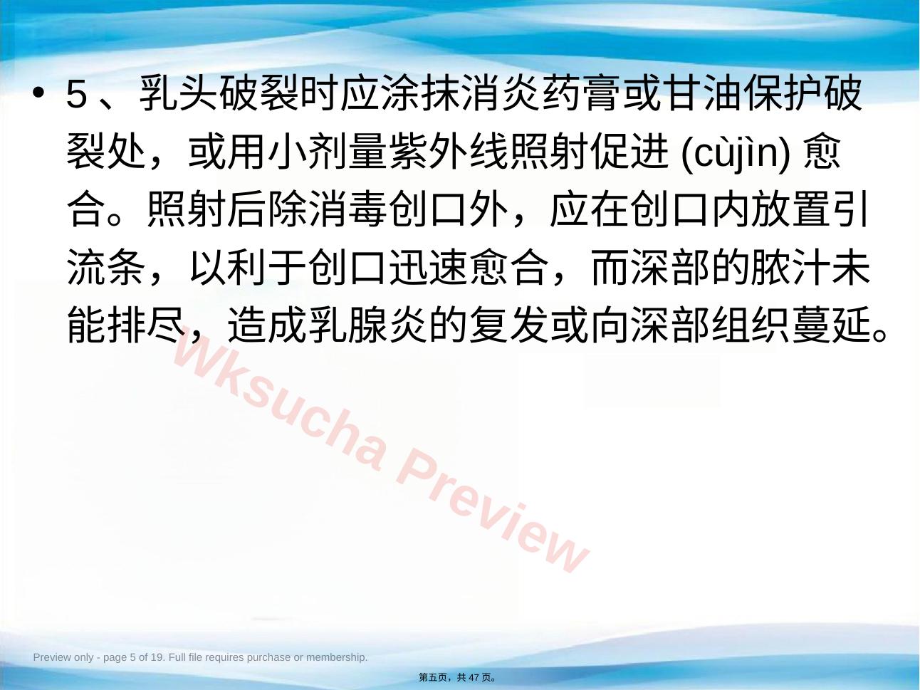 预览第 5 页