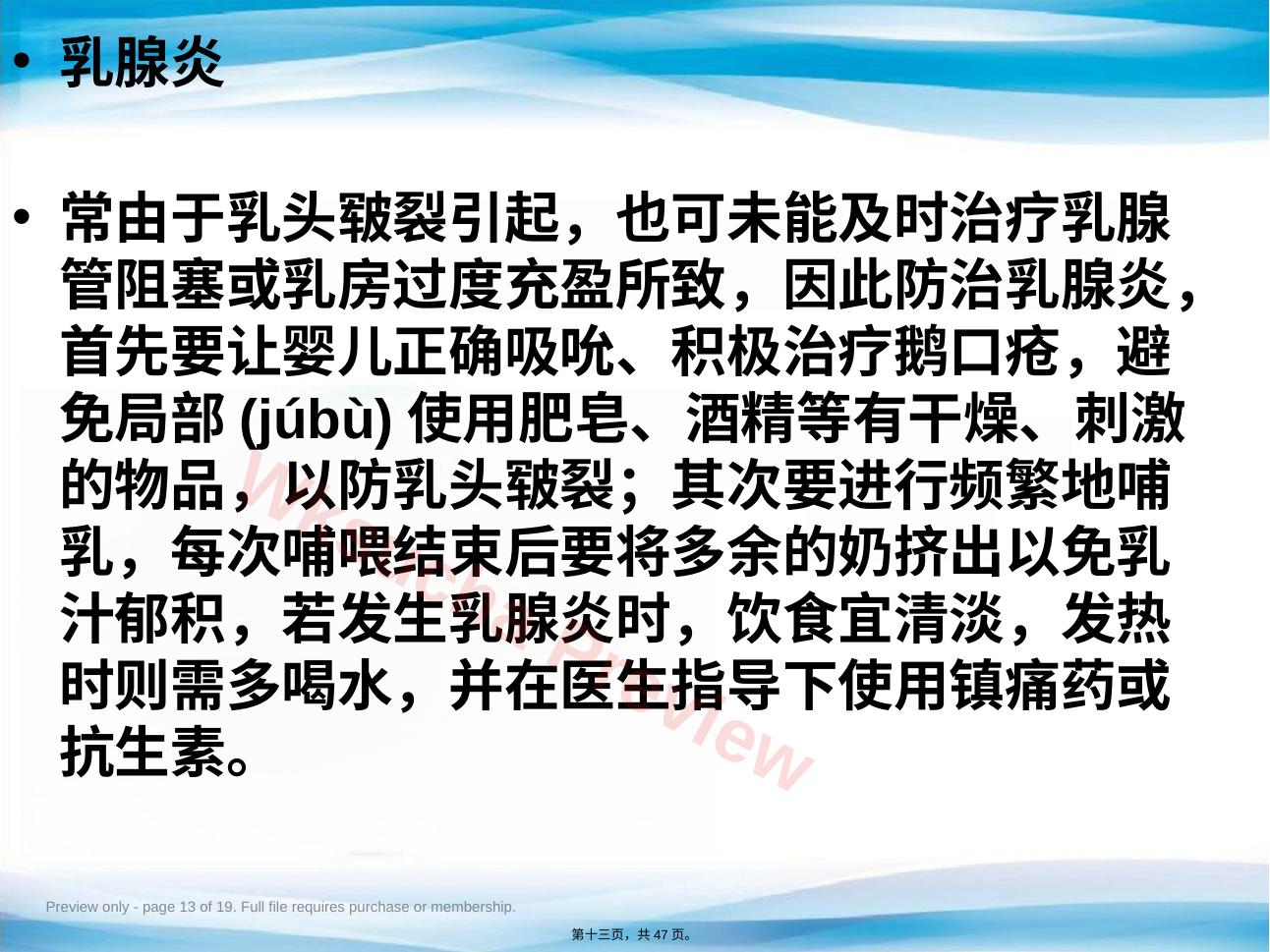 预览第 13 页