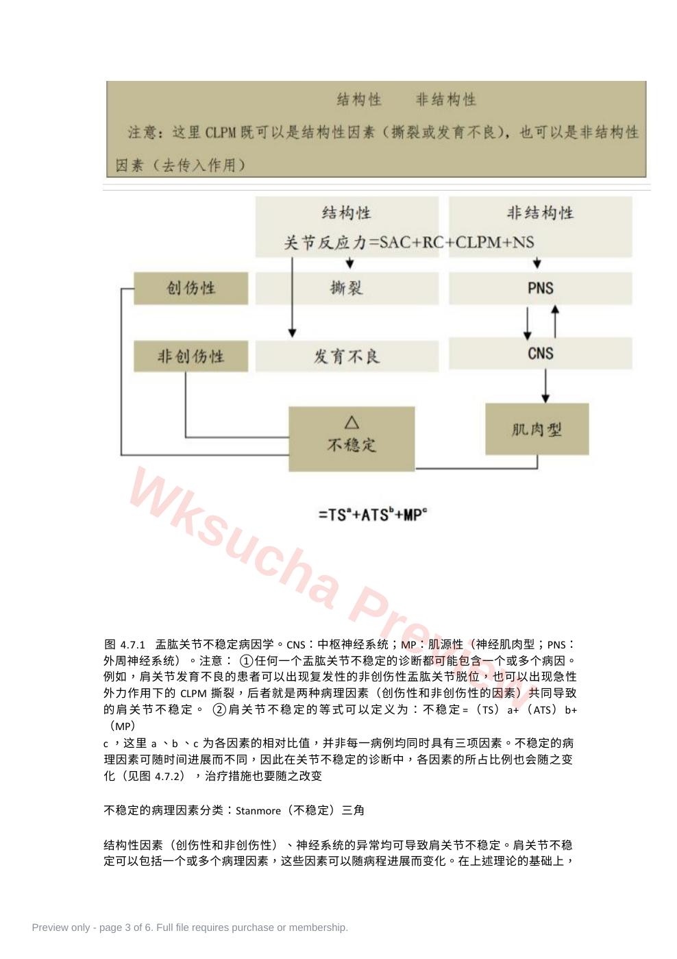 预览第 3 页