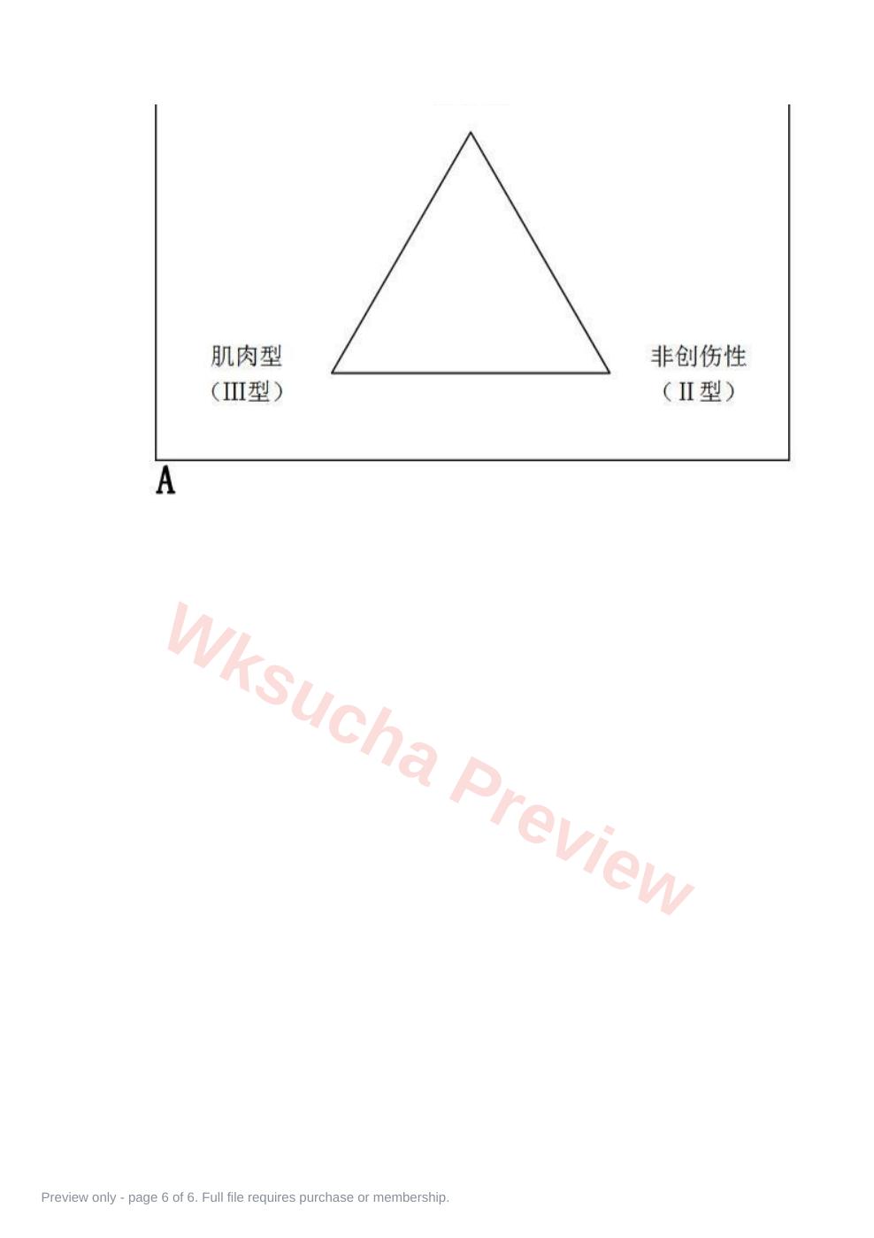 预览第 6 页