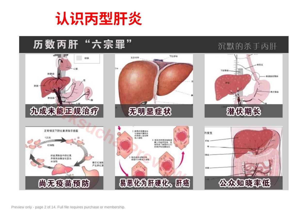 预览第 2 页