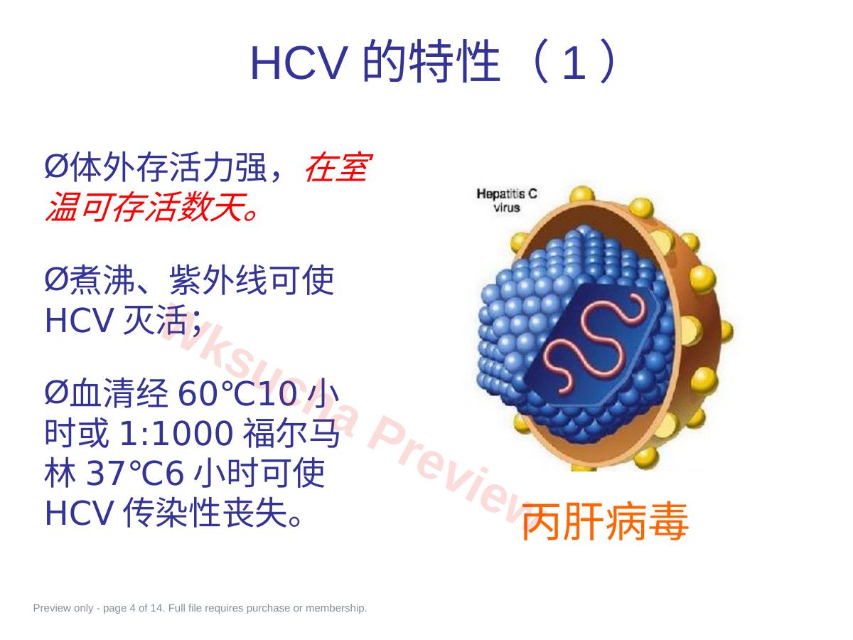 预览第 4 页