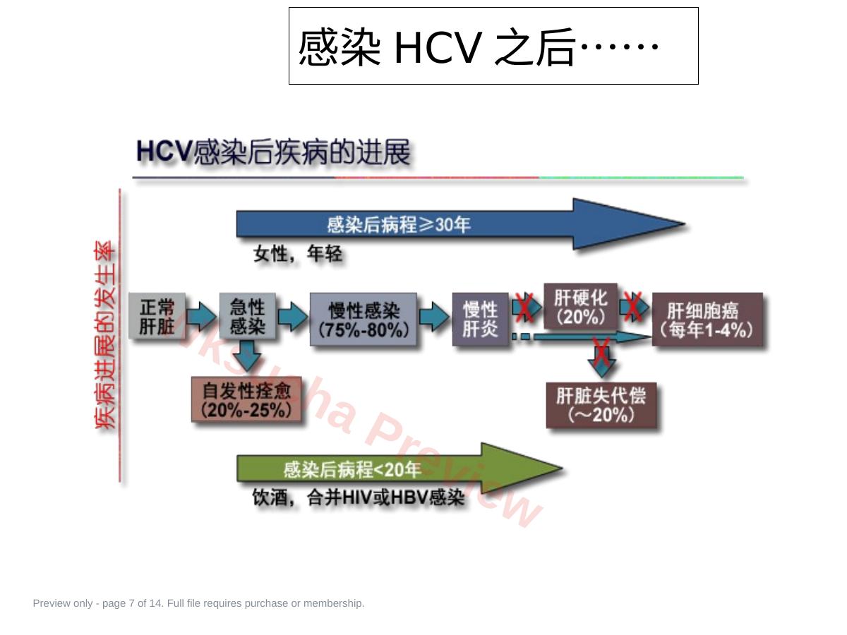 预览第 7 页