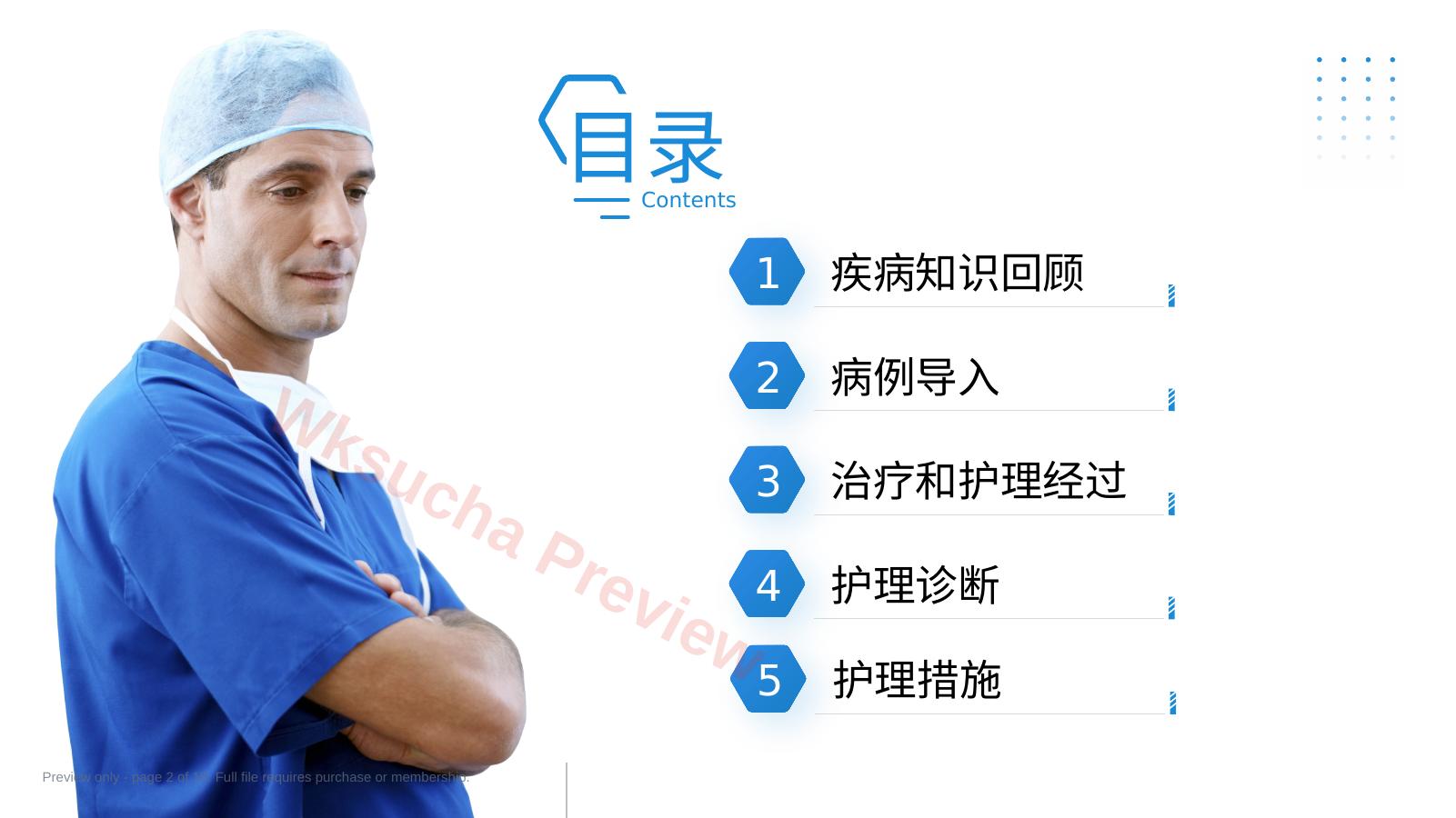 预览第 2 页