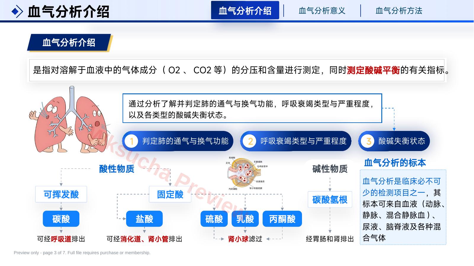 预览第 3 页