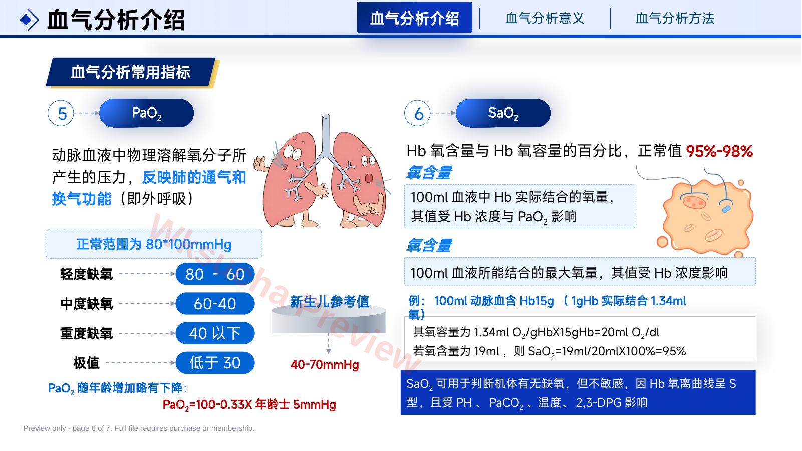 预览第 6 页