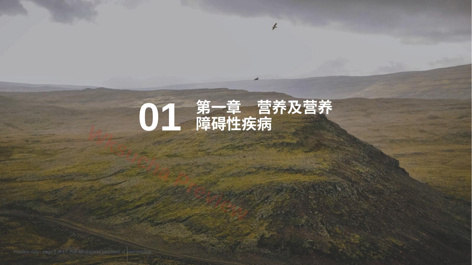 预览第 2 页