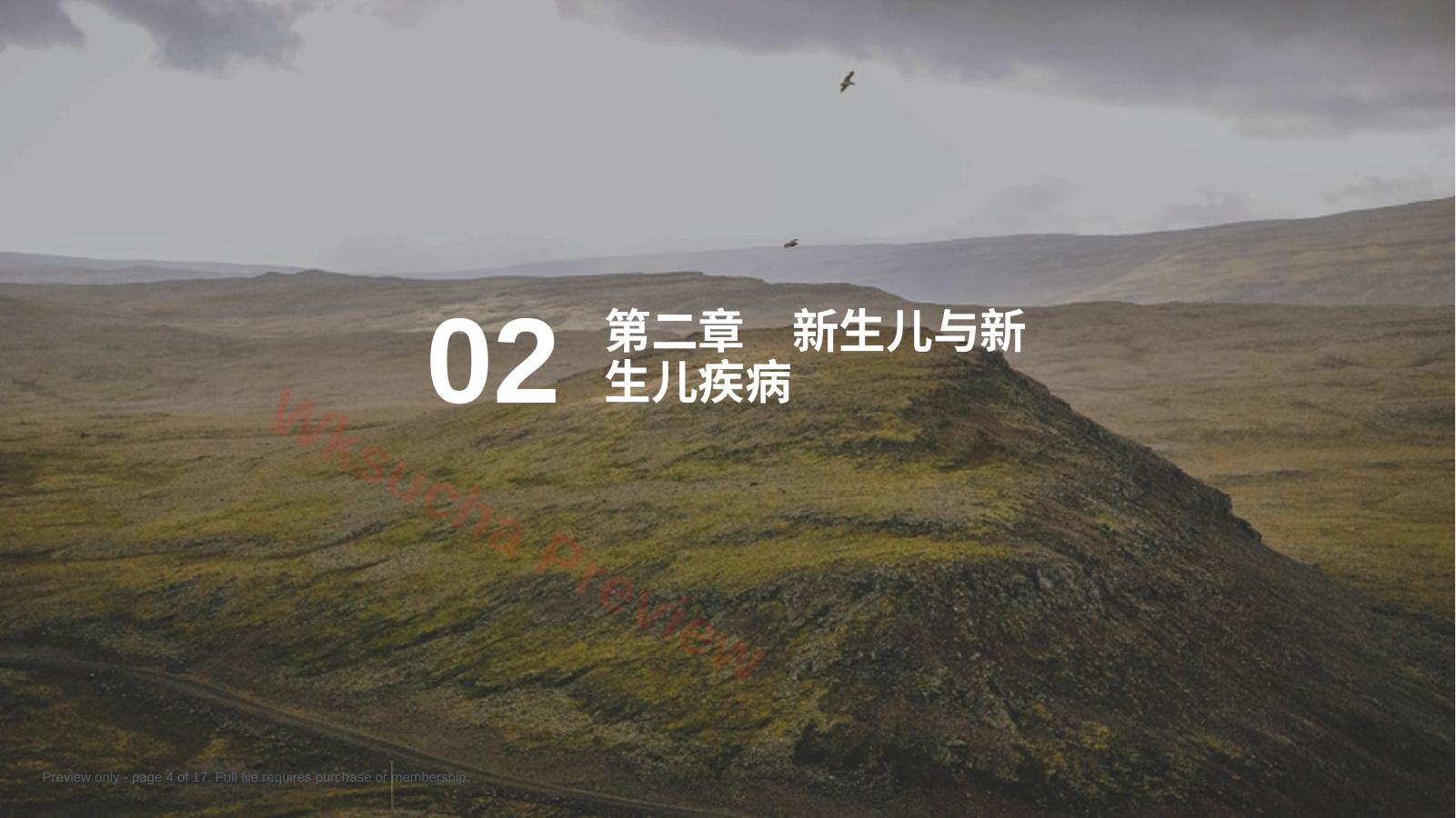 预览第 4 页