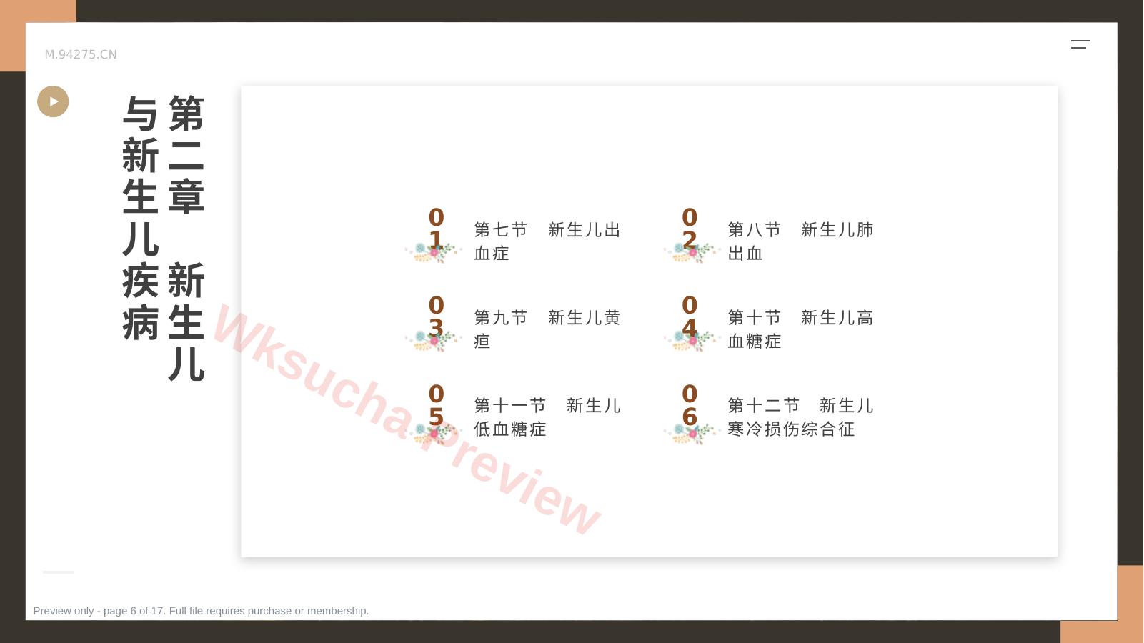 预览第 6 页