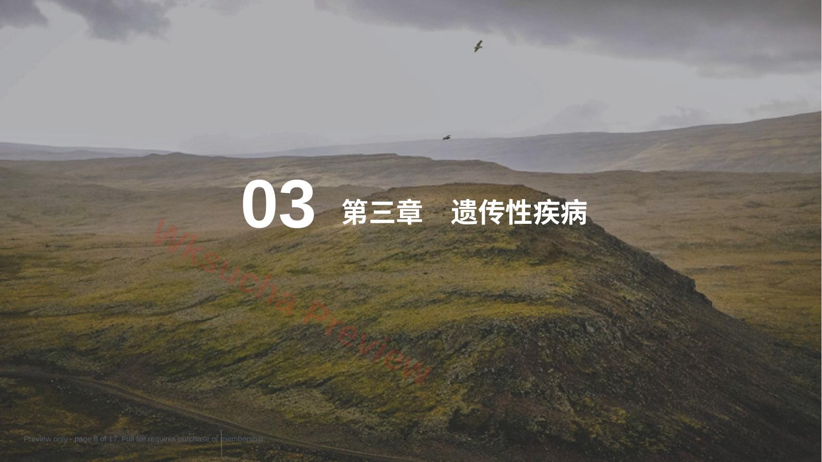 预览第 8 页