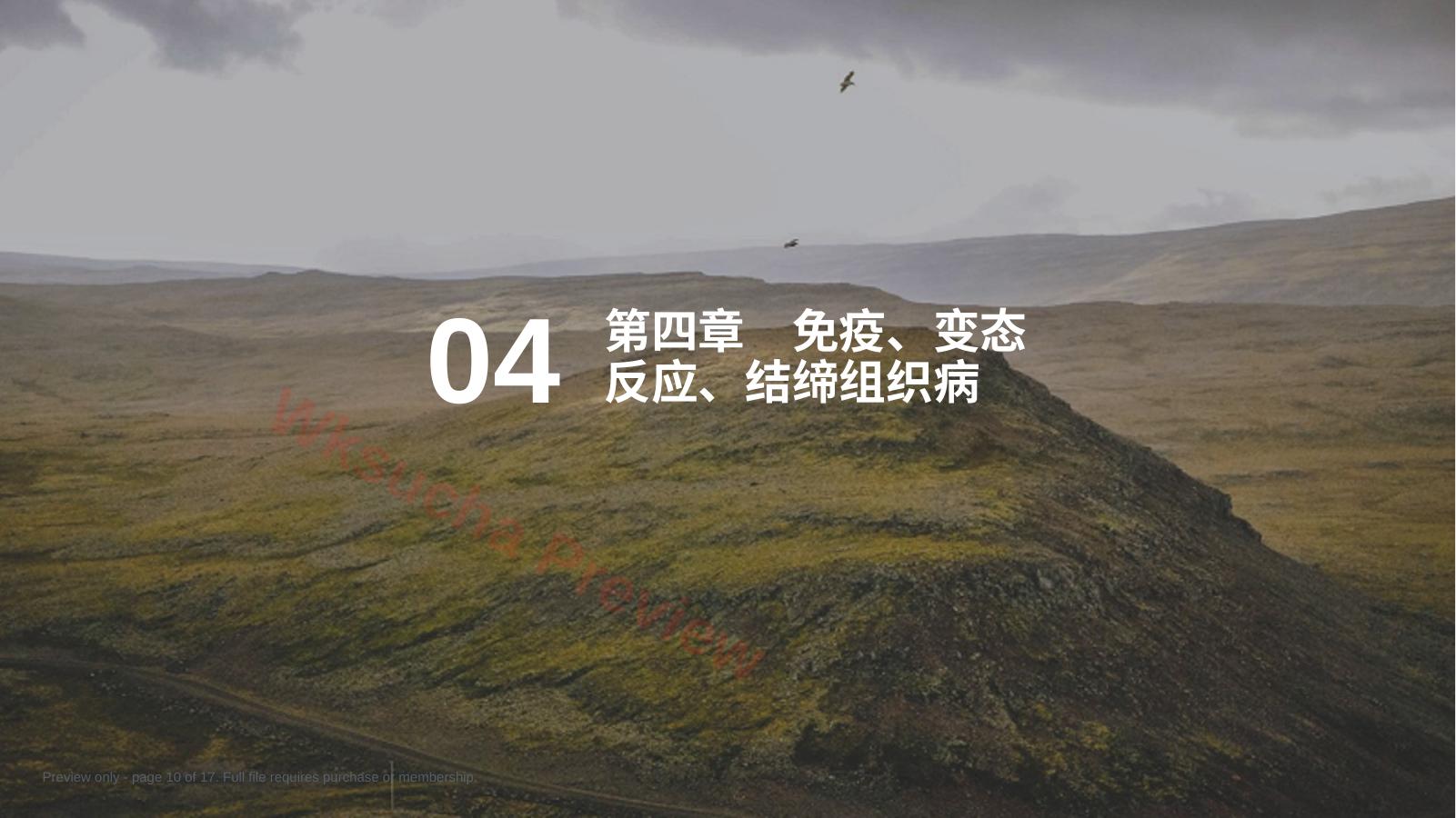 预览第 10 页