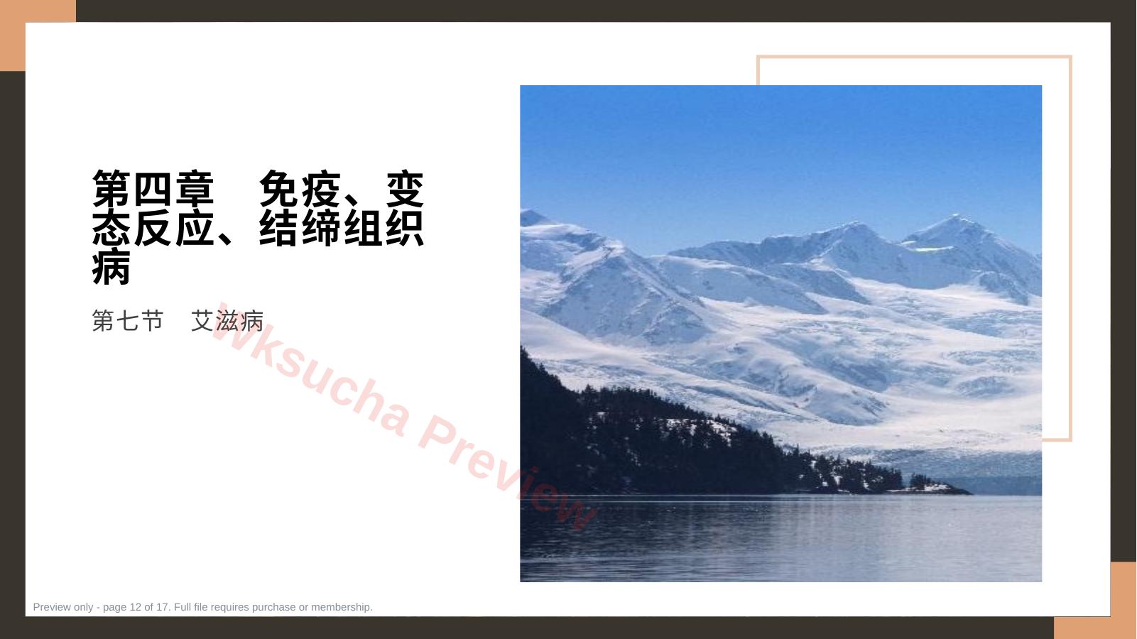 预览第 12 页