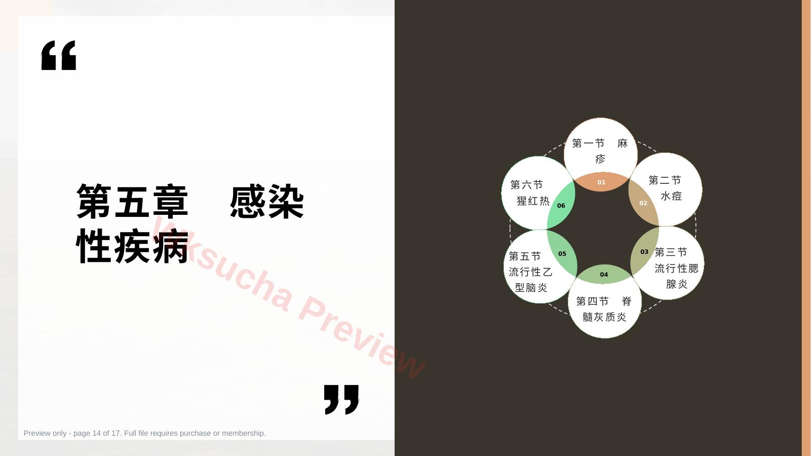 预览第 14 页
