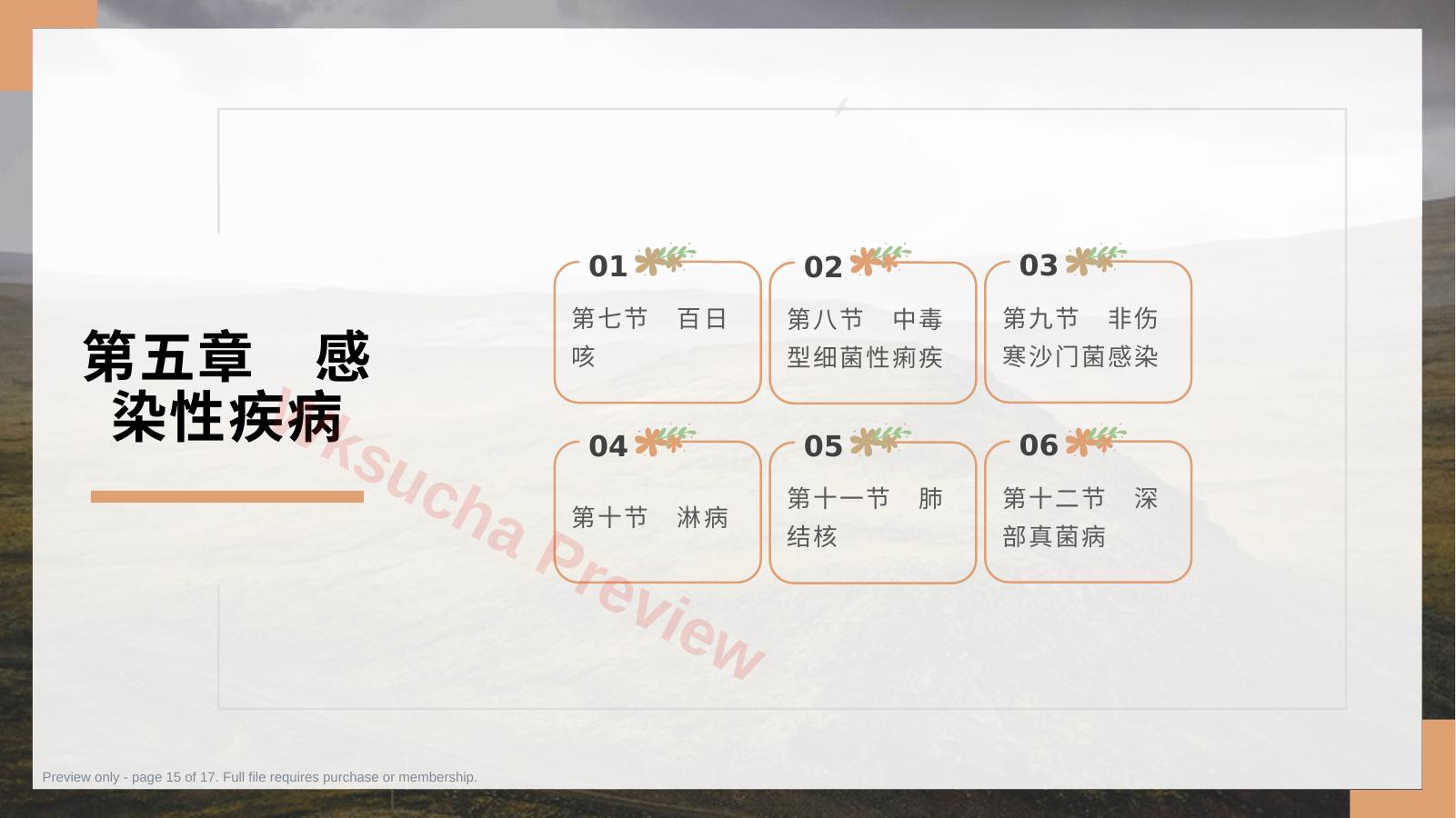 预览第 15 页