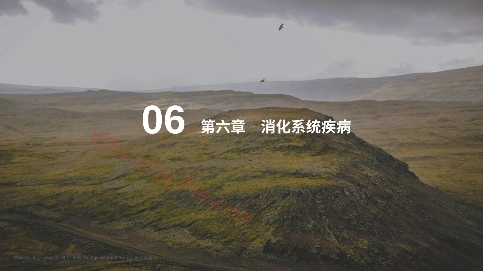 预览第 17 页