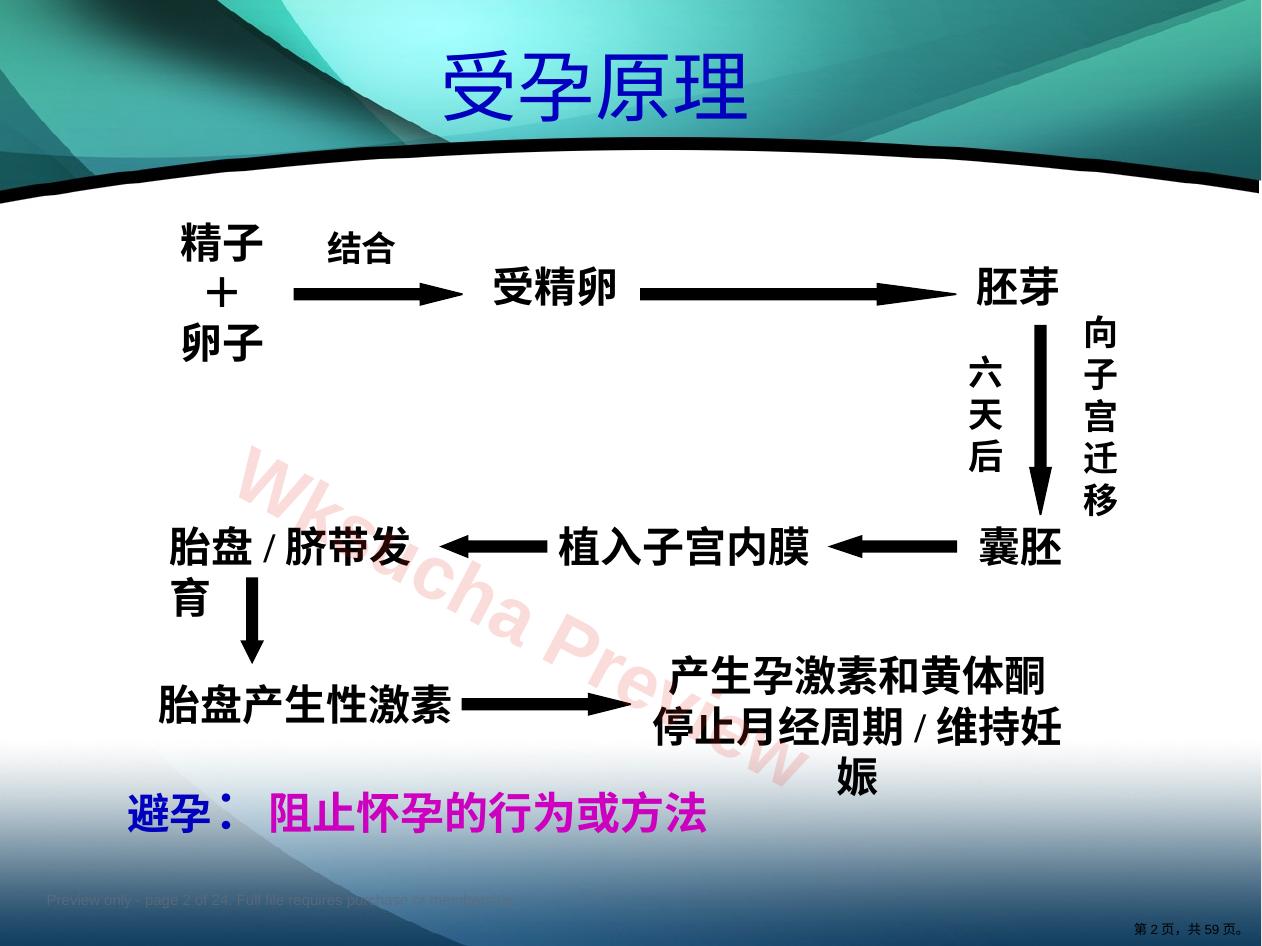 预览第 2 页