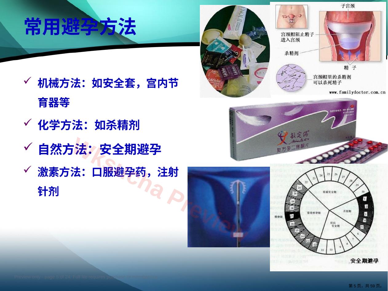 预览第 5 页