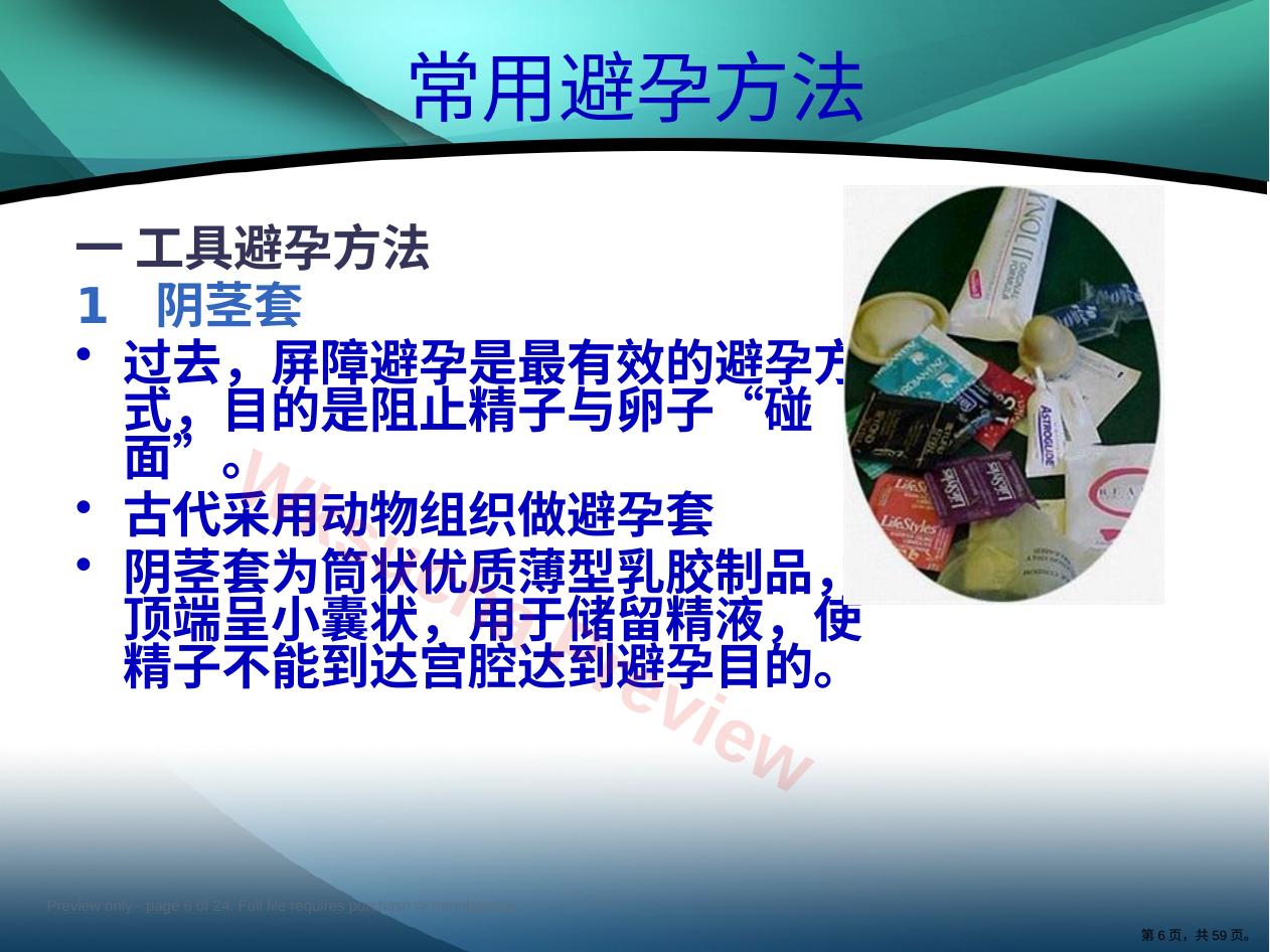 预览第 6 页