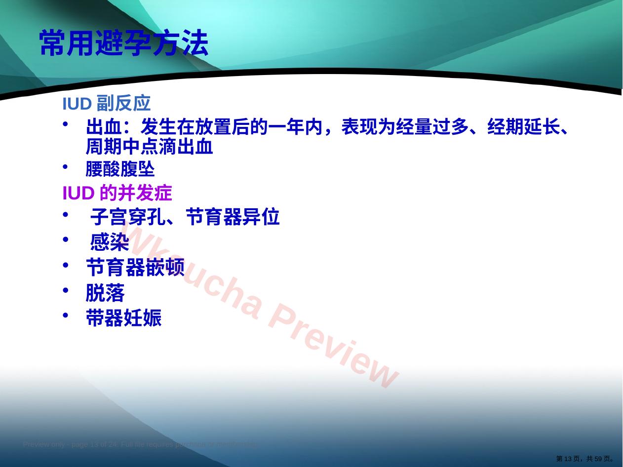 预览第 13 页