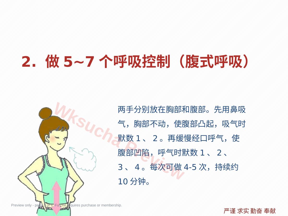 预览第 3 页