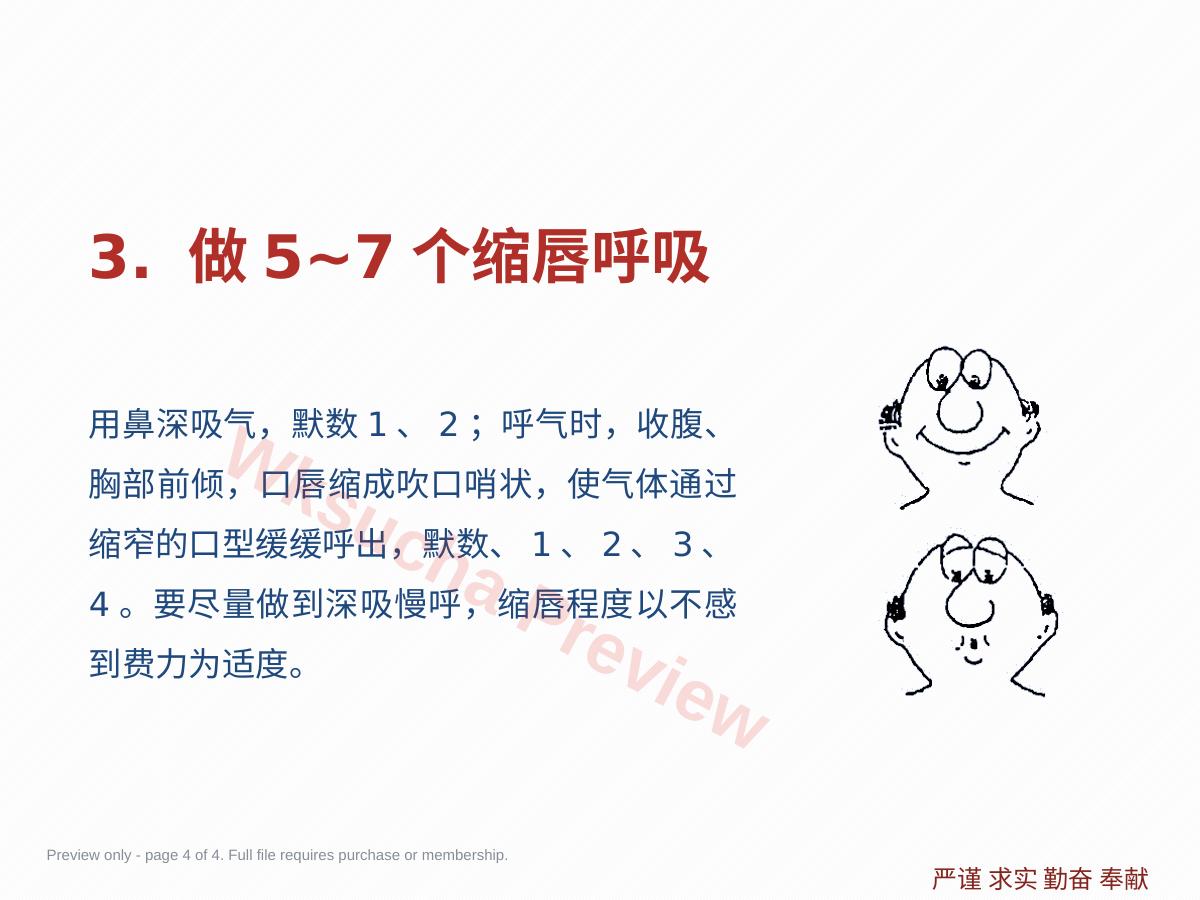 预览第 4 页
